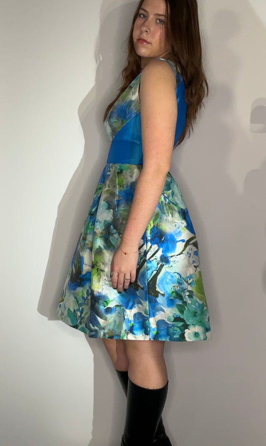 BLUE GARDEN ALINE DRESS